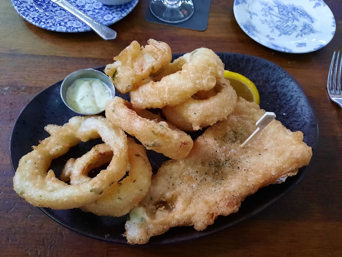 gluten free fish and onion rings, the best!