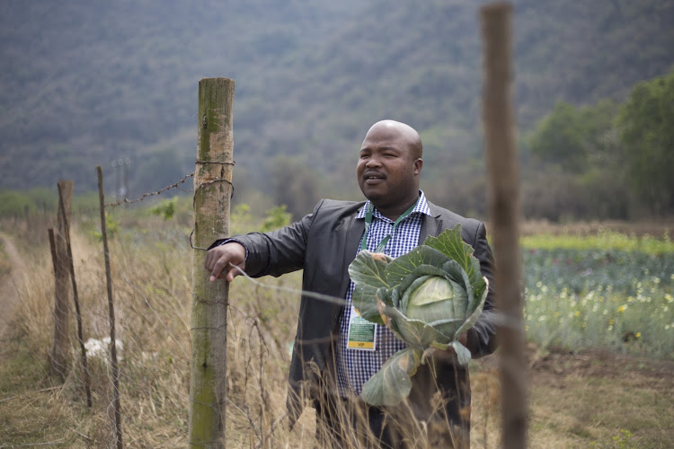 KwaZulu-Natal land claim recipient Zwelihle Dlamini on the land handed over to eight families in the Richmond area.