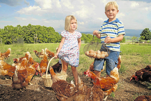 DON'T FENCE ME IN: At Highveld Stud Farm, Tessa and Angus Alison and the chickens have plenty of space to roam