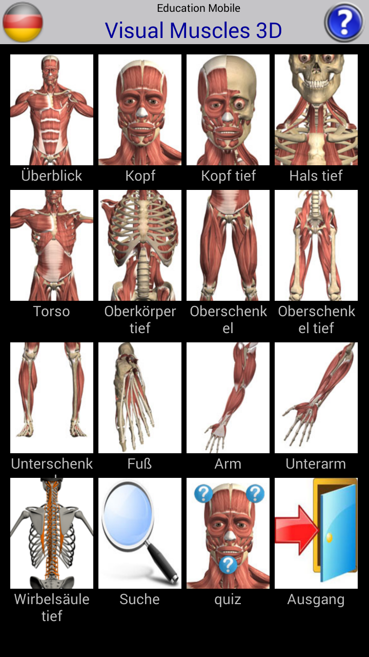 Android application Visual Muscles 3D screenshort