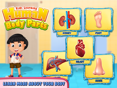 Kids Human Body Parts: Learning Game Screenshot