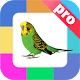 Download Развивающие карточки Птицы. For PC Windows and Mac 1.0.0