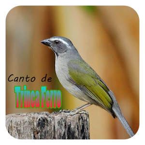 Download Canto de Trinca Ferro Mp3 For PC Windows and Mac