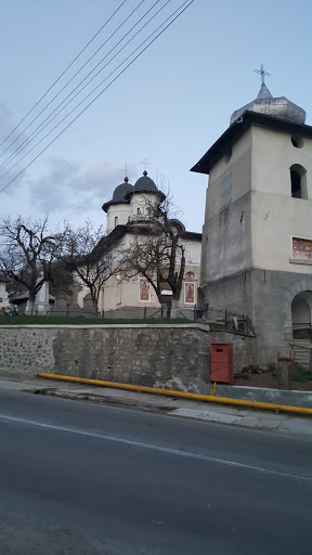 Biserica Pietrosita
