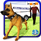 Download Animal Control Van Simulator For PC Windows and Mac 1.0