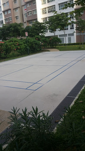 Community Badminton Court