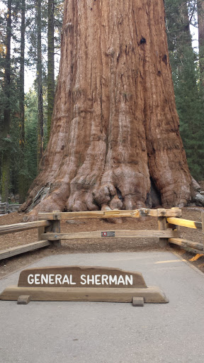 General Sherman