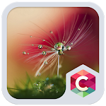 Crystal Drops Launcher Theme Apk