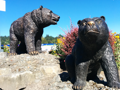 Mama Bear, Issaquah