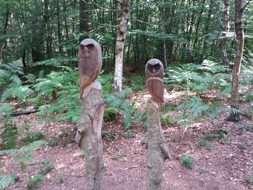 Wooden Owl Carving