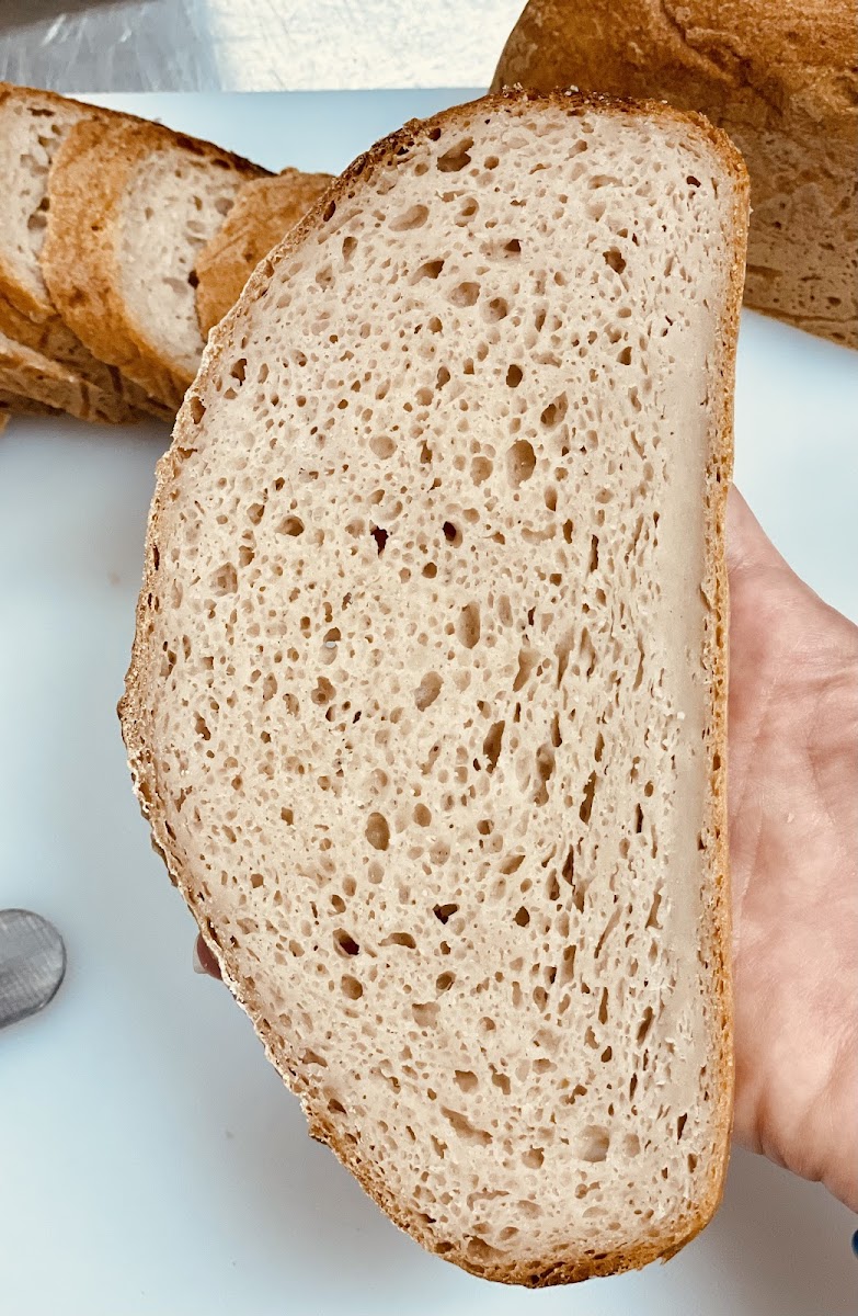 gluten free sourdough