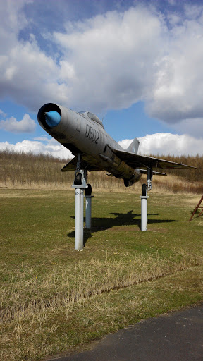 Mig 21