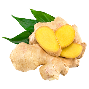 Download Health Benefits of Ginger For PC Windows and Mac