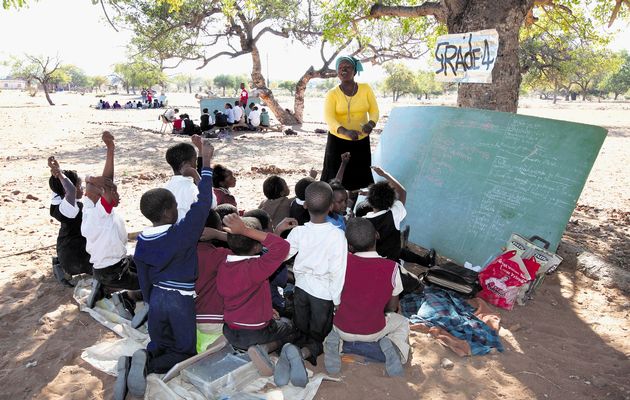Pupils from grades R to 7 have been studying under trees in a hamlet in Limpopo since January. The teachers teach for free.