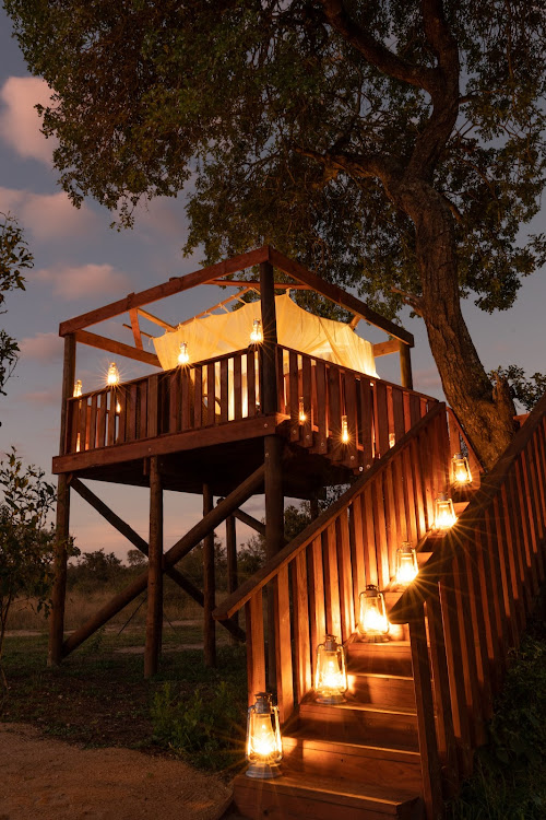 The treehouse, where you can book a magical sleep-out experience.
