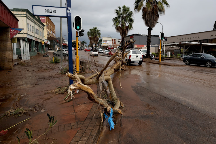 A tree washed away by flood waters came to a stop next to the Tongaat post office.