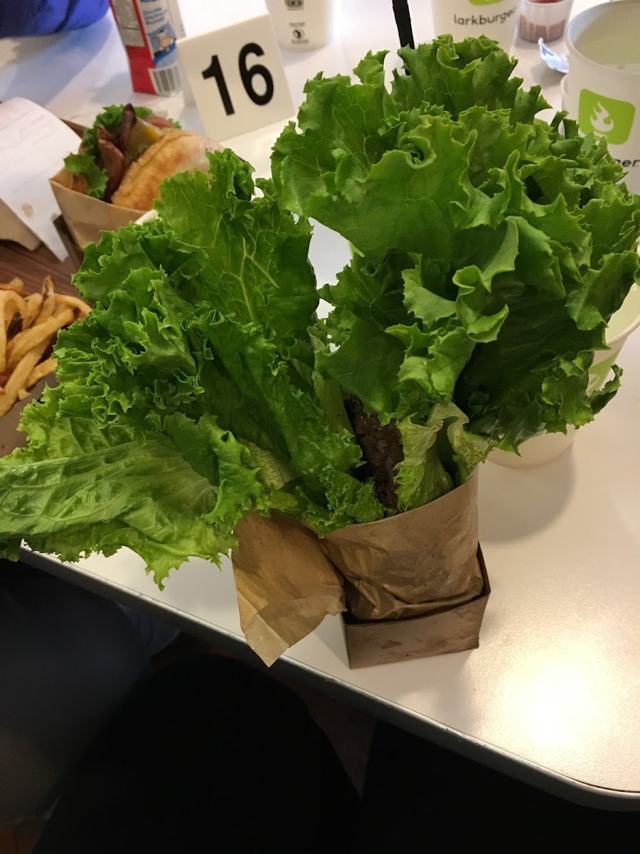 Way too much lettuce to even try and eat