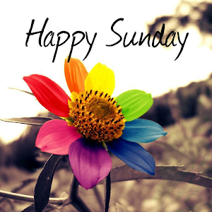 Download Happy Sunday SMS Messages For PC Windows and Mac