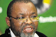 Gwede Mantashe. File photo.