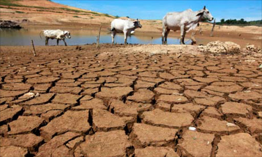 The Democratic Alliance has accused the government of failing to deal with urgent drought-related issues in the Eastern Cape.