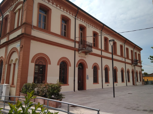 Palazzo Del Municipio 