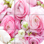 Puzzle - Colorful Photo Apk