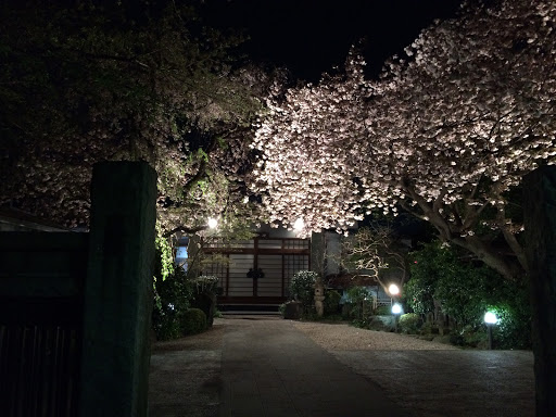 曹洞禅宗 慶安寺