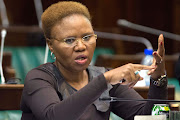 Lindiwe Zulu has called on communities to look out for their neighbours and report any suspicious activity at a neighbour's house. 