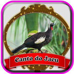 Download Canto Do jacu Mp3 For PC Windows and Mac