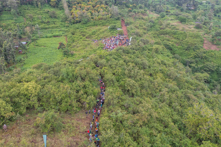 Residents of Murang'a County throng Kiambicho Forest Karua Hill A during the national tree planting day on May 10, 2024.