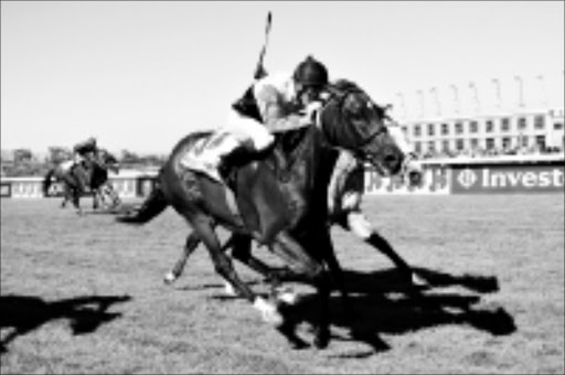 FINEST: The golden horse Pocket Power won his third J&B Met in style at Kenilworth racecourse on Saturday. 31/01/09. © Unknown.