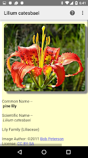 How to mod Florida Wildflowers 1.3 unlimited apk for bluestacks