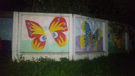 Граффити Бабочки