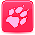Game for Cats Apk