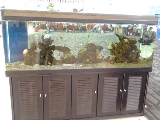 Aquarium Bandara Hasanuddin