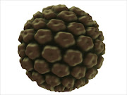 Human papillomavirus (HPV). File.