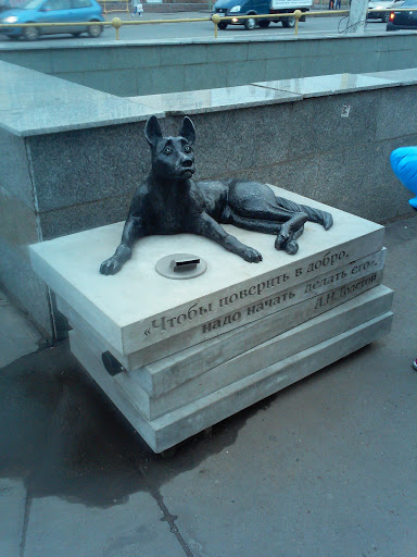 Памятник Копилка Бездомным Животным
