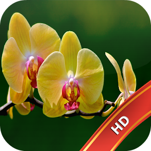 Orchid Live Wallpaper.apk 1.0