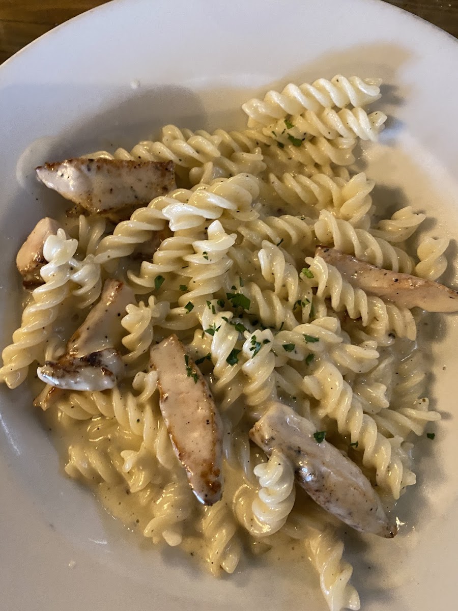 Gluten Free Chicken Alfredo!