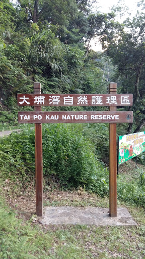 Tai Po Kau Nature Reserve