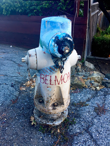 Belmont Celebration Hydrant