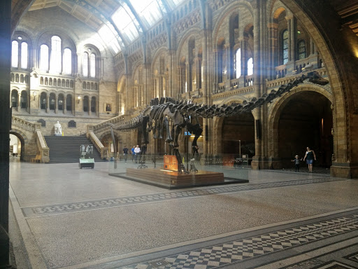 NATURAL HISTORY MUSEUM