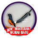 Download Mp3 Masteran Murai Batu For PC Windows and Mac 1.0