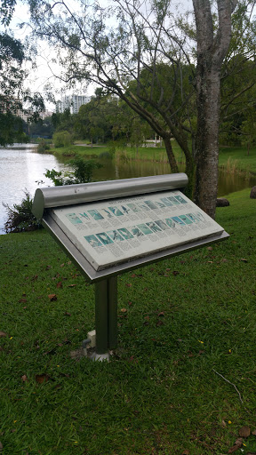 Birds Around The Pond Information Board