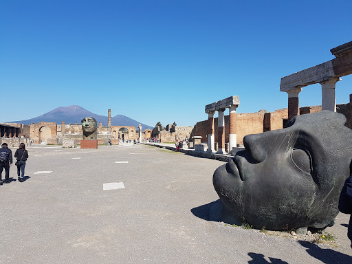 Fallen Faces of Pompeii