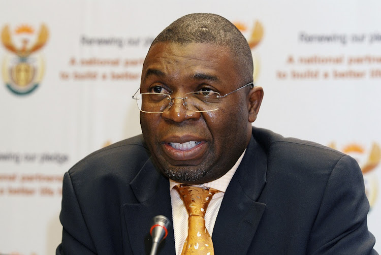 The panel‚ is chaired by former safety and security minister Sydney Mufamadi.