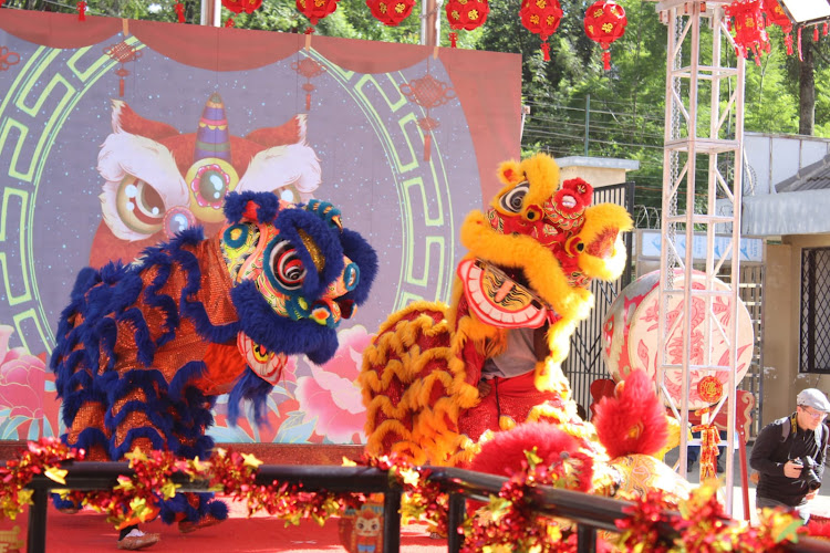 Confucius Institute at the University of Nairobi students perform a lion dance during 'The Dragon is soaring and the drums are rolling for the Chinese New Year' event at their campus on February 7, 2024.