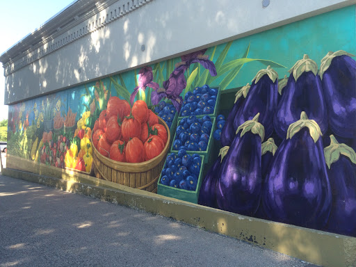 South Haven Farmers Market