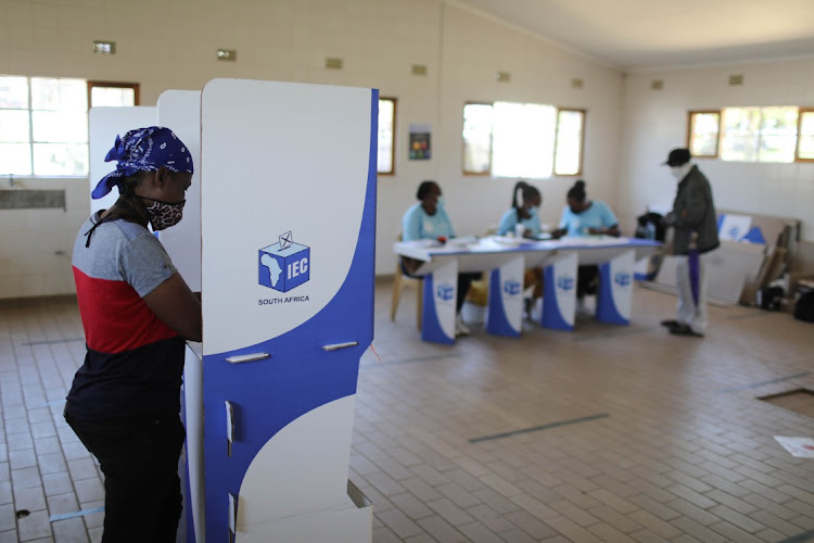 Early morning voters the Ajuri Farm in Barberton.