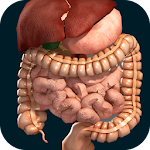 Organs 3D (Anatomy) Apk